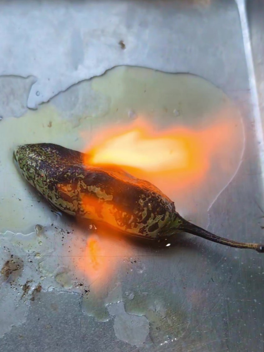 Jalapenos